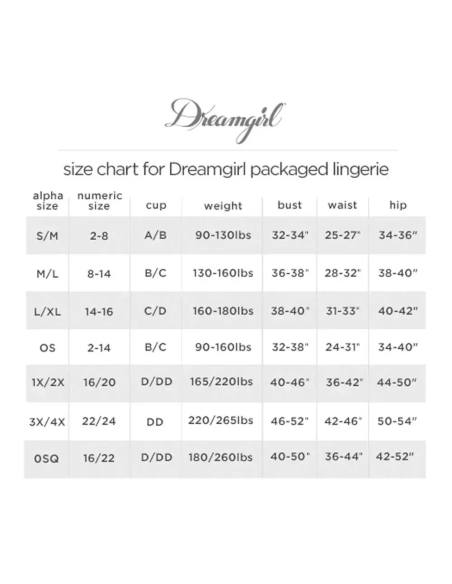 Erotický kostým služky Dreamgirls Maid Plus Size Sheer Mesh XL-XXL