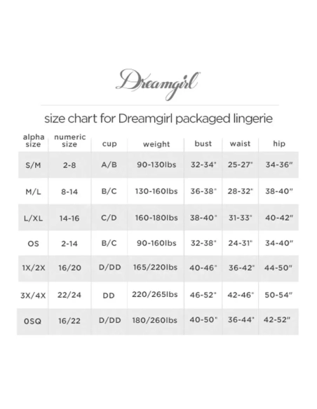 Erotický kostým služky Dreamgirls Maid Plus Size Sheer Mesh XL-XXL