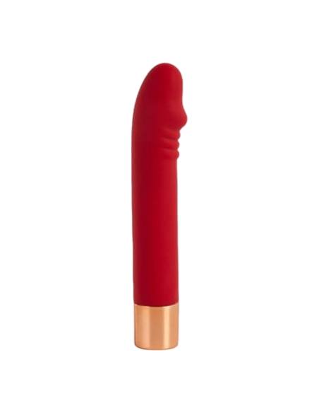 Osamělý okouzlující vibrátor Dick